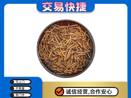 蚌埠市固镇回收散虫草