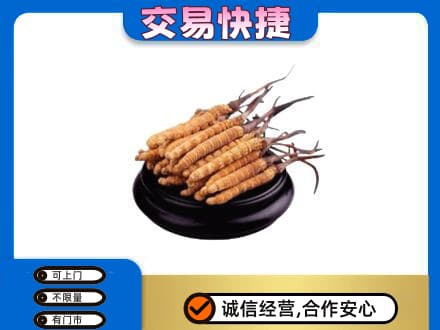 蚌埠市固镇礼品回收散虫草.jpg